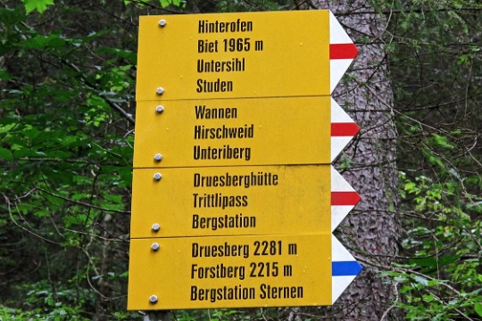 110731-Wanderung-Druesberg-Forstberg 0553