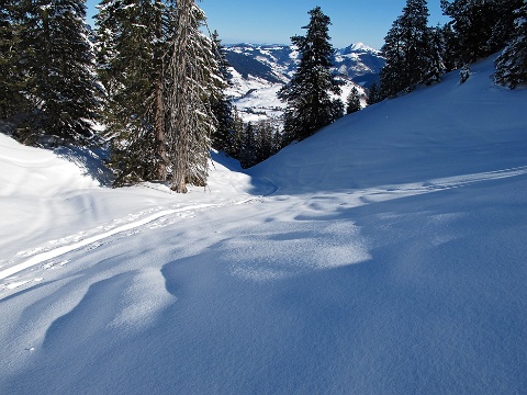 150226-Skitour-laucherenstoeckli 4850