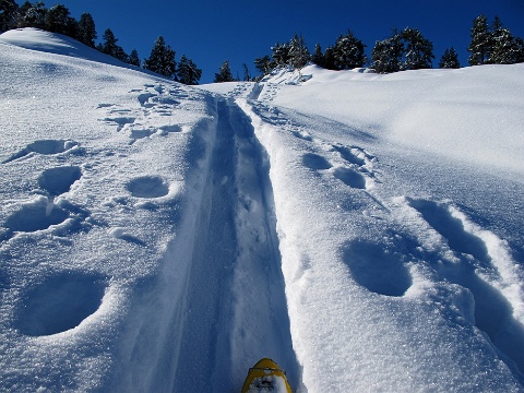 150226-Skitour-laucherenstoeckli 4852