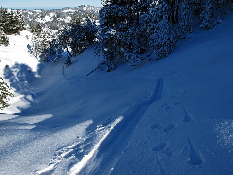 150226-Skitour-laucherenstoeckli 4854