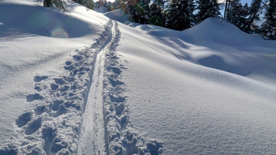 Skitour Laucherenstöckli 19.01.2019