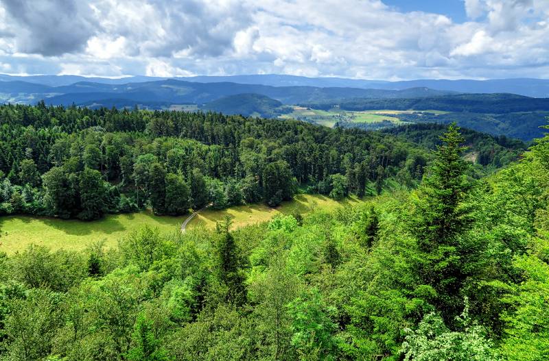 Blick von Turm aus