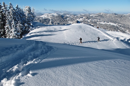 Skitour Laucherenstöckli 26.12.2010