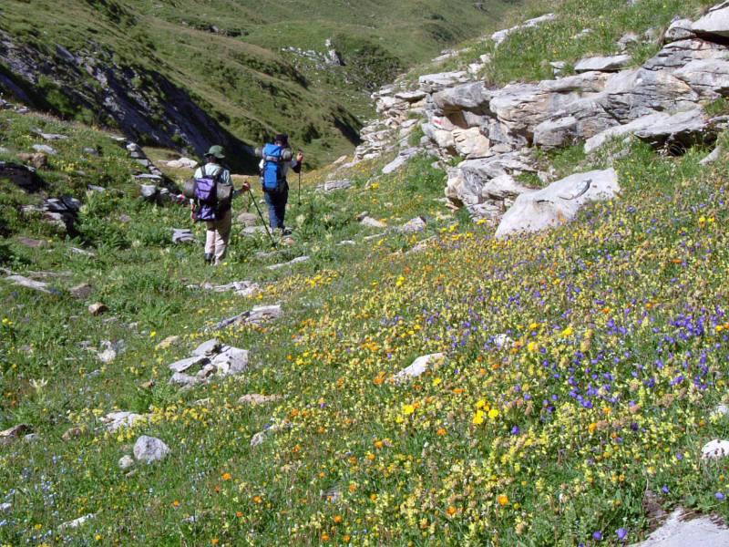 2003_0803LoetshcenPass0017