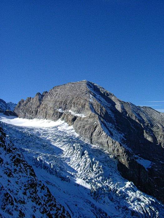 Rosenlauigletscher und Kl. Wellhorn