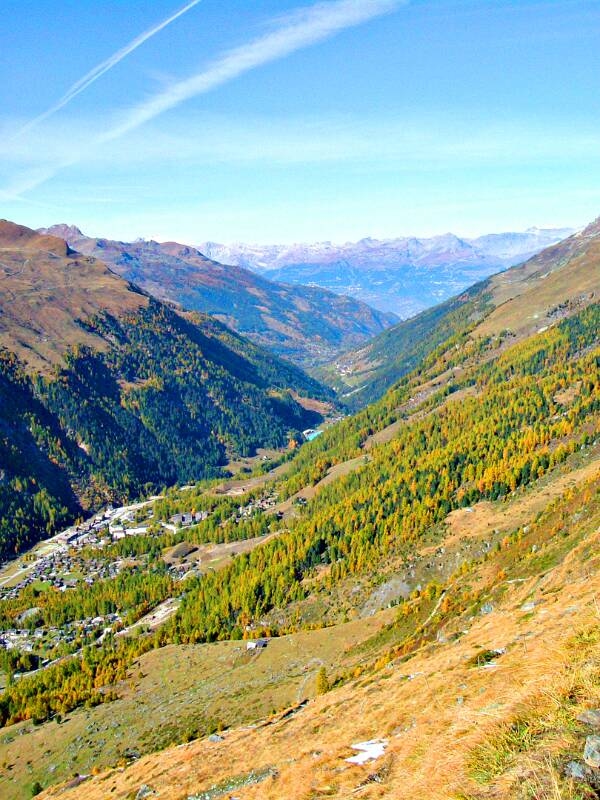 5_1_2005_1016Bishorn0014