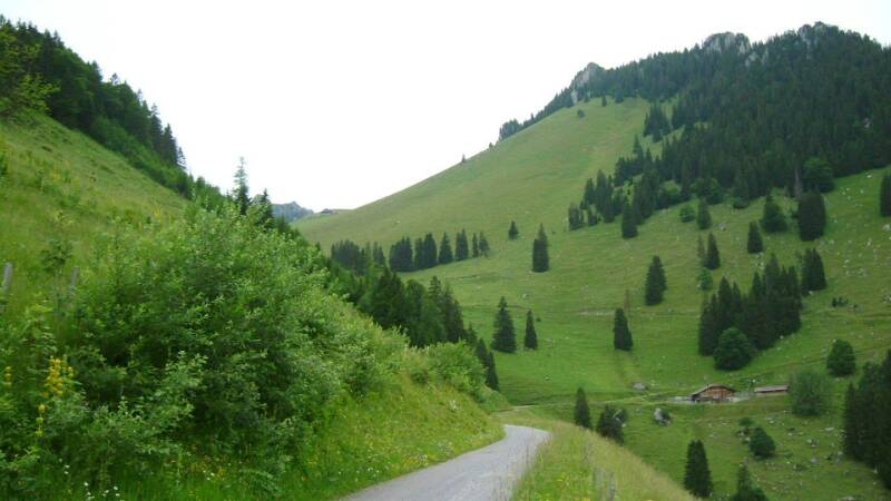 2005_0701ReutigenMatten0011