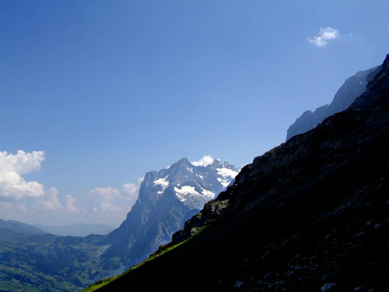 Wetterhorn