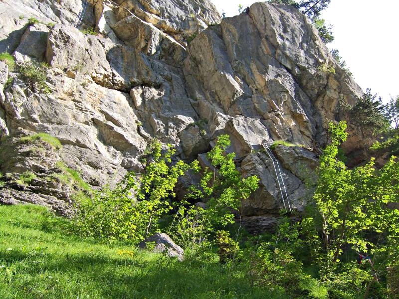 2006_0701Allmenalp0015