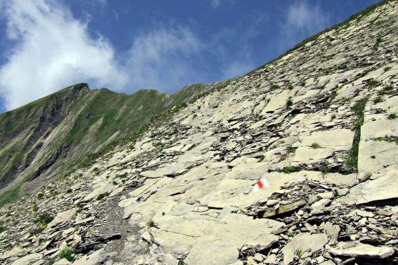 2006_0701Allmenalp0091