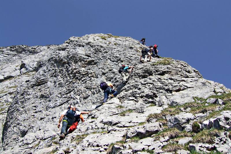 Alle wollen nach oben