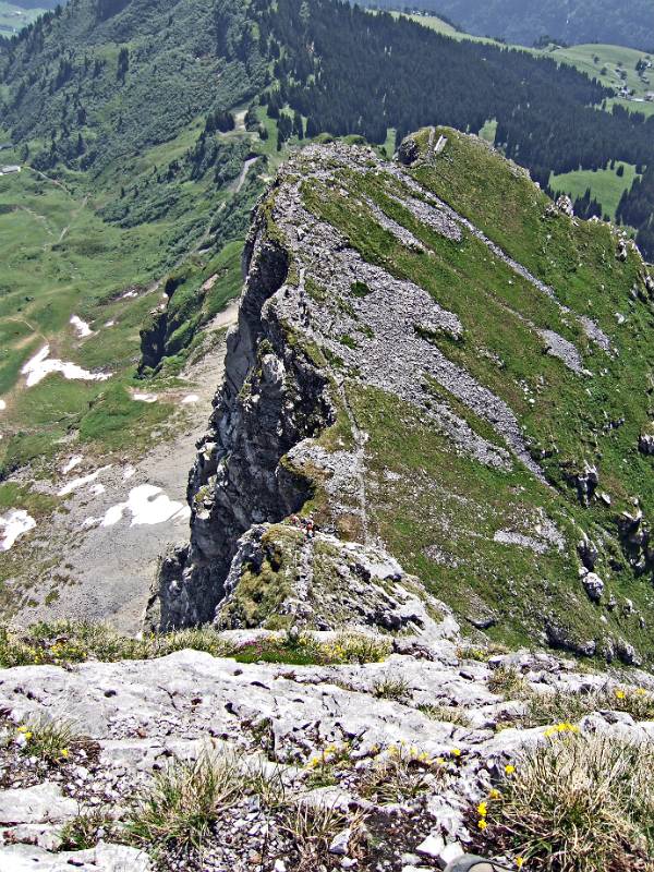 Blick zum Leiteregg vom Vorderer Eggstock