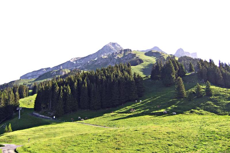 Rigidalstock, Blick von Bahnstation Ristis