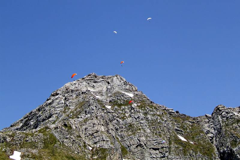 Rigidalstock und Gleitschirmflieger