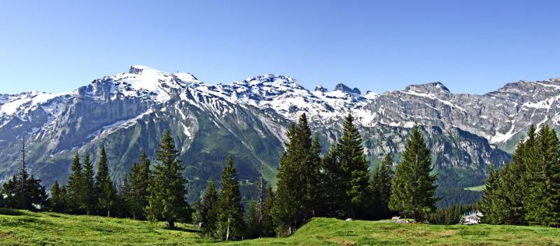 Titlis & Co. Blick vom Ristis