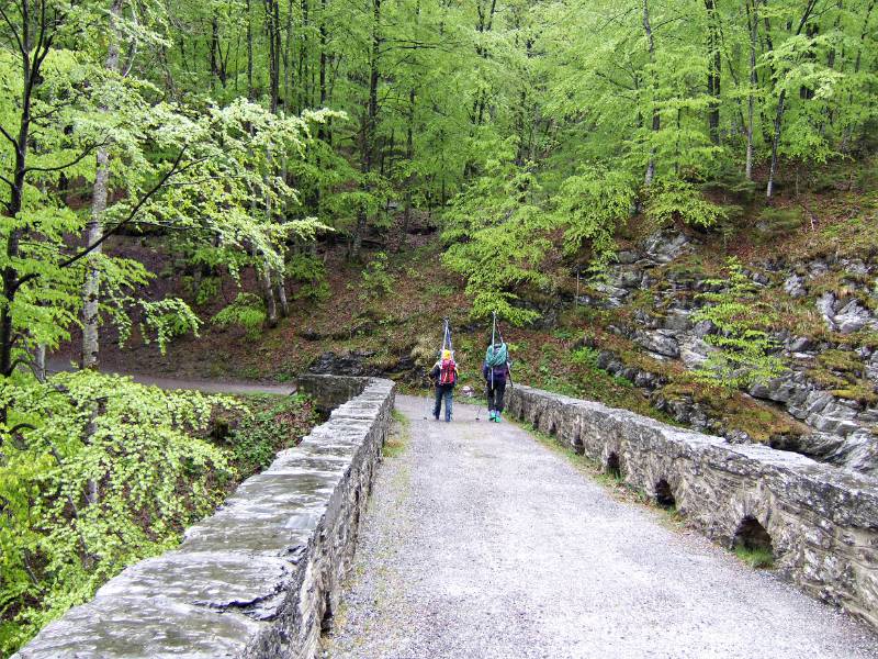 Die Bruecke durch Linth