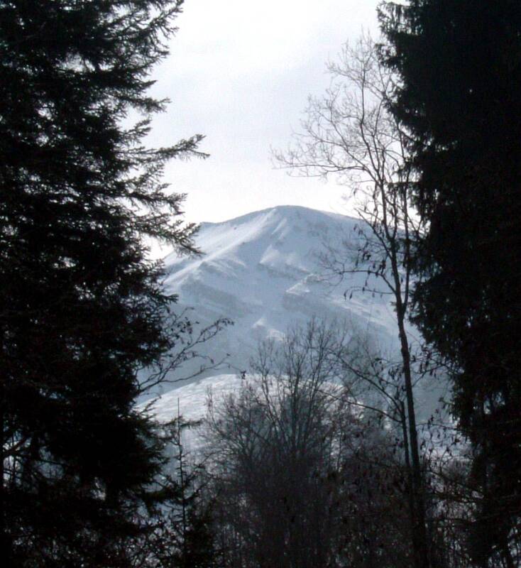 02_2006_0318Wiriehorn0069