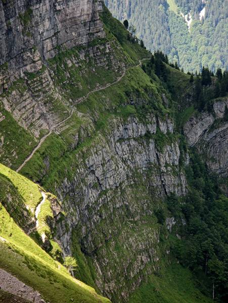 Voraussichtlich ueber diesen Weg werden die Schafe auf die Weide getrieben.