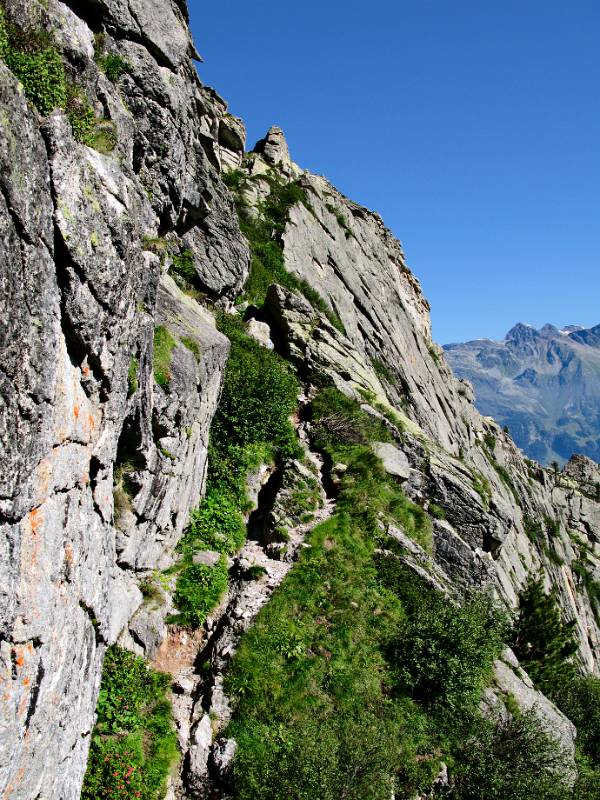 Wanderweg hinauf Viale