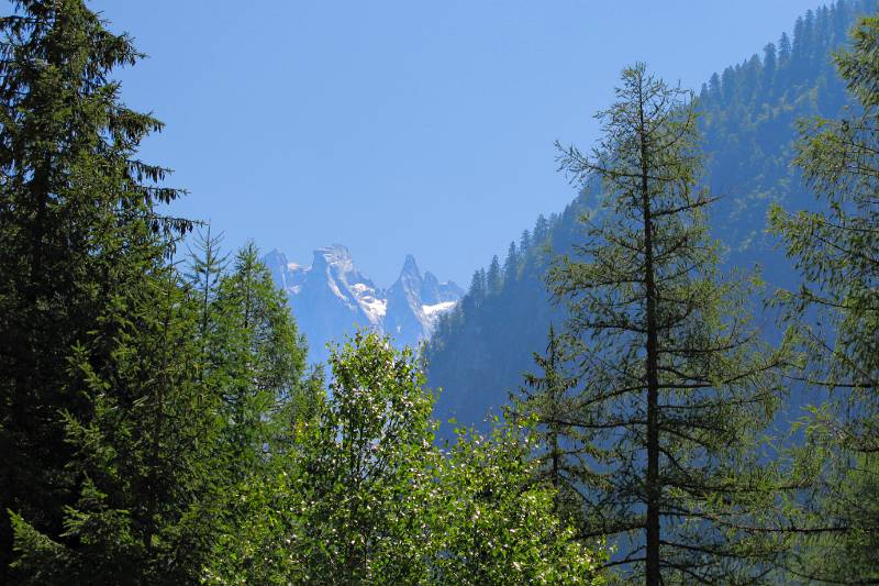 Blick nach oben auf die Berge vom Bondascatal