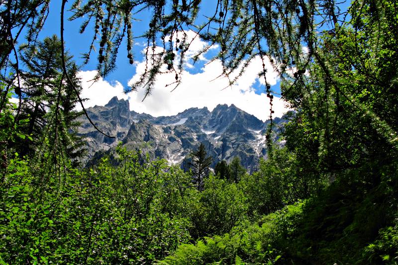 Vom Wanderweg aus