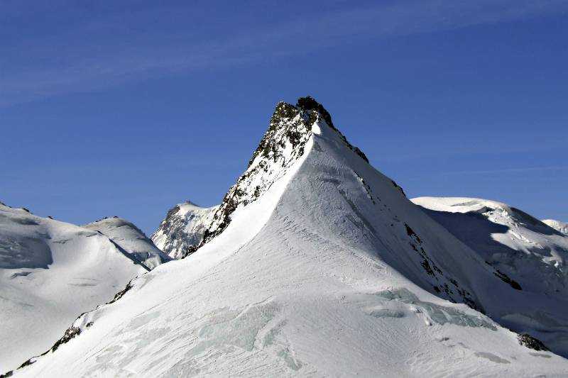 Rimpfischhorn vom Feejoch aus