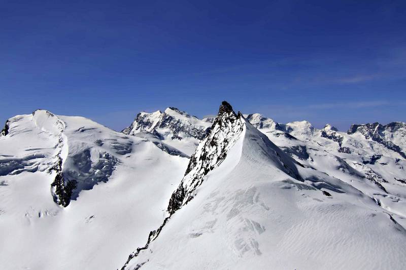 Strahlhorn, Monte Rosa und Rimpfischhorn vom Allalinhorn aus