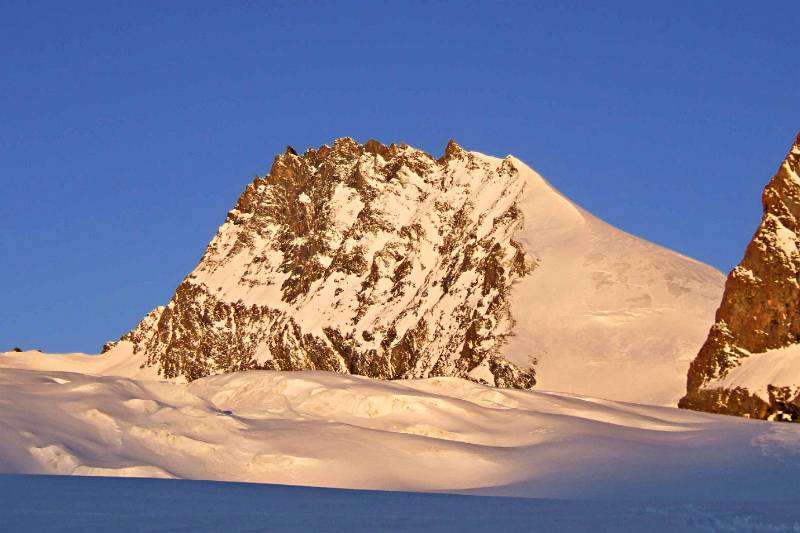 Rimpfischhorn im Morgenlicht