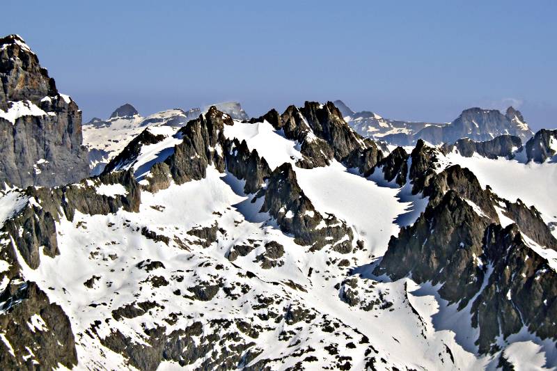 Grassen und Fuenffingerstoeck ganz rechts