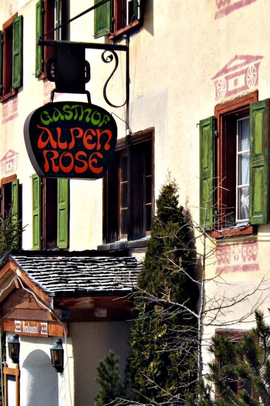 Alpenrose