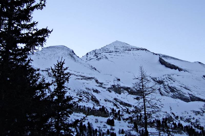 Altels im Morgengrauen vom Sunnbuel aus