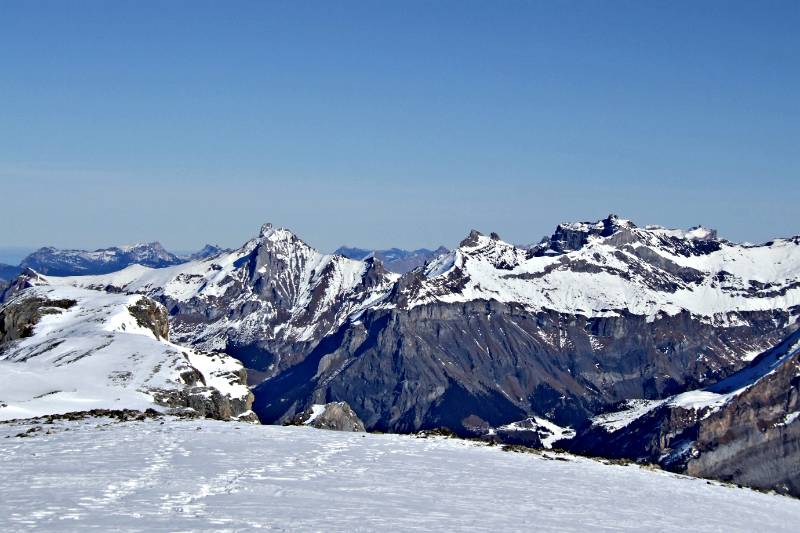 Steghorn und Tierhoernli, vom Roter Totz aus