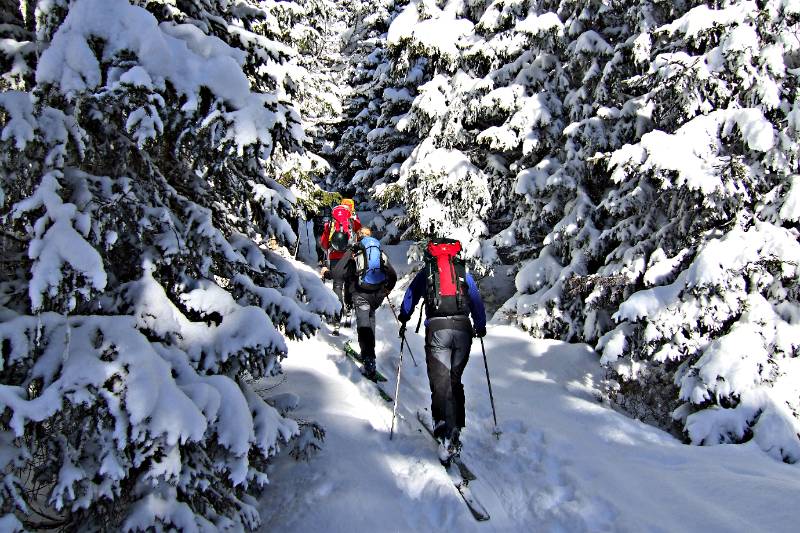 Nicht besonders gewoehnliches Bild fuer Skitour in diesem Winter