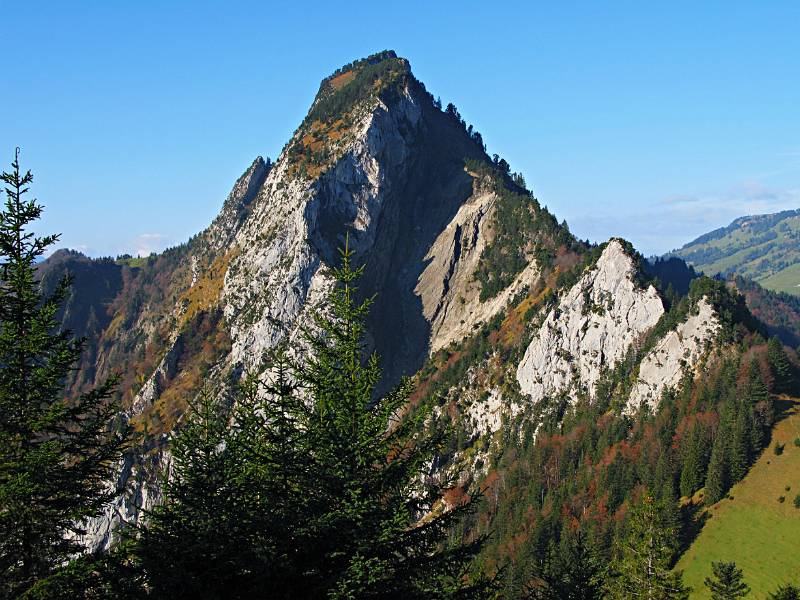 Rigi-Hochflue