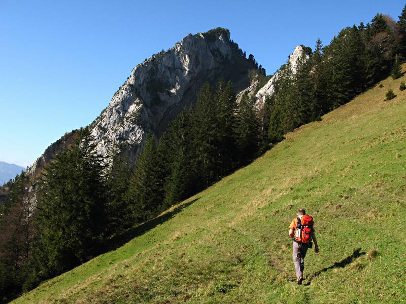 Kurz nach Alp Egg, der Weg führt Richtung Hochflue