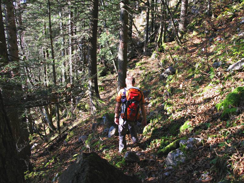 Die Zustiegroute geht über den Wald