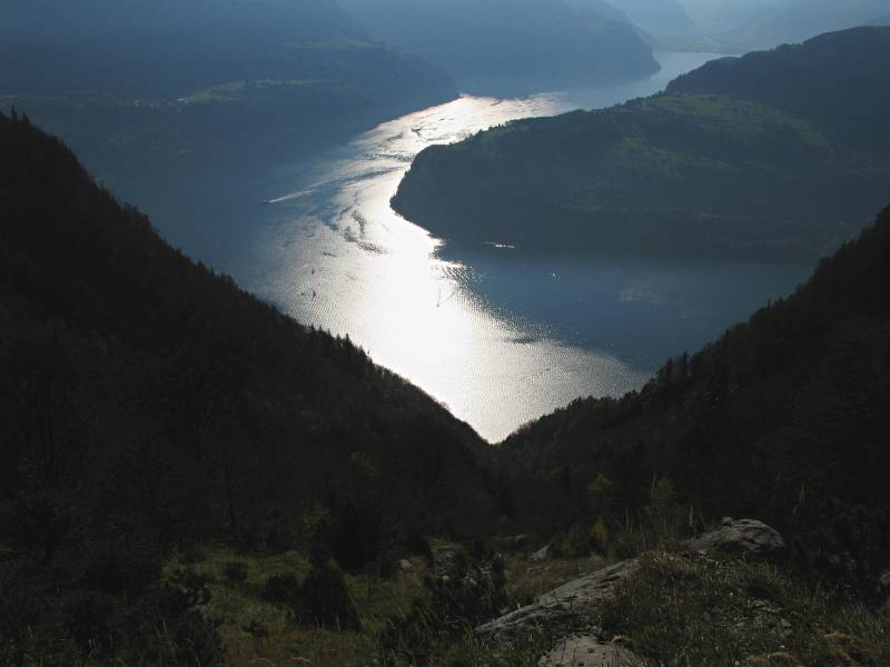 Der Vierwaldstätte See von der Flanke von Hochflue