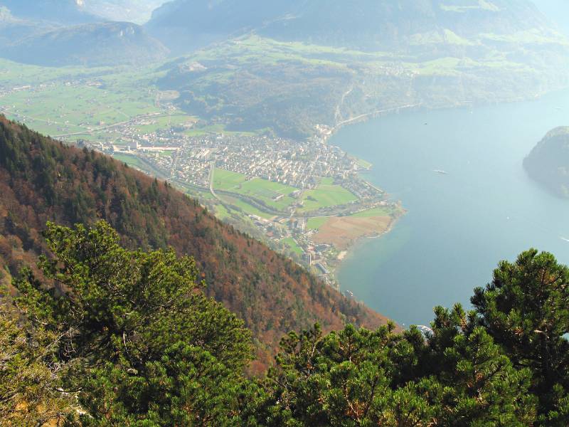 Vierwaldstätte See von Hochflue aus