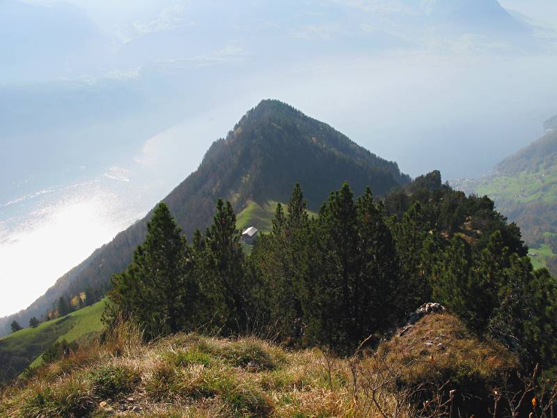 Panorama von Rigi-Hochflue