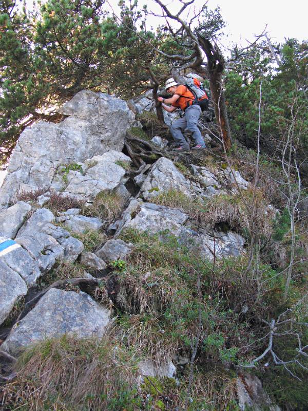 Der Weg nach unten über den Busch und Geröll