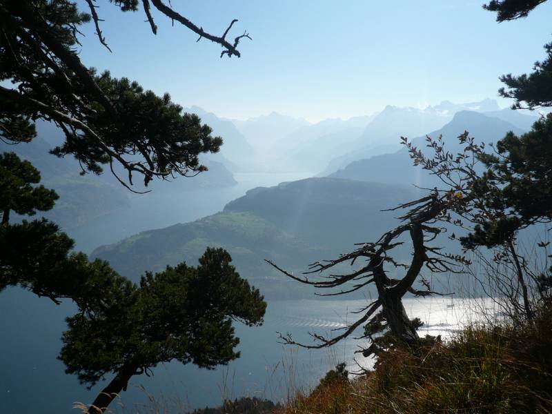 Blick über Vierwaldstätte See Richtung Gothard. Foto von Peter