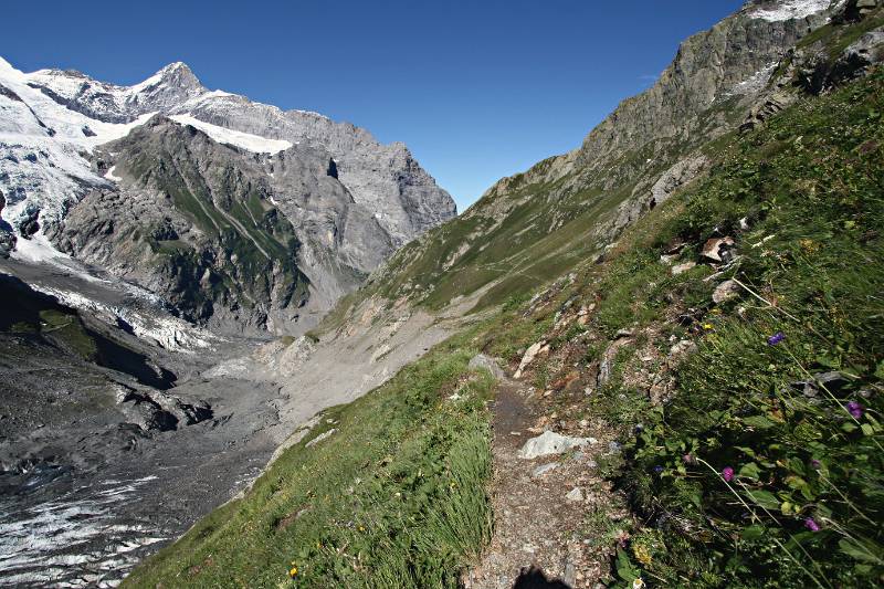 Blick zurück entlang Wanderweg. Eiger und Mittellegigrat vorne