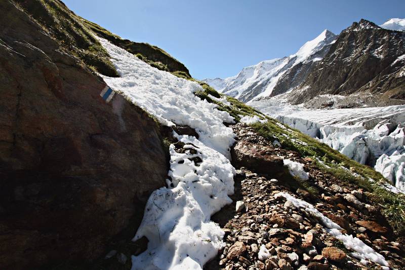 Neuer Schnee ab 2300m sogar auf dem Wanderweg. Die Spuren von