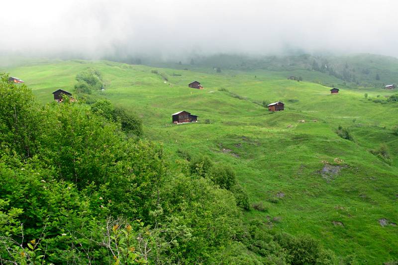 Nebel aber die Sicht ist immer noch ausreichend