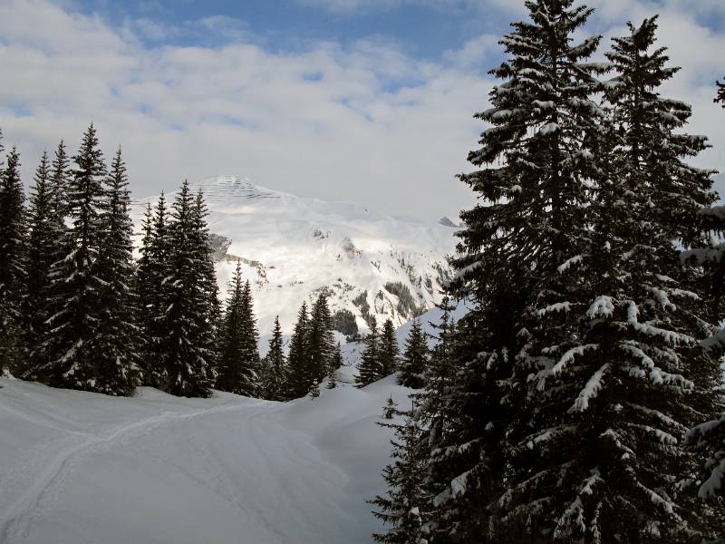 Blick Richtung St.Antönien