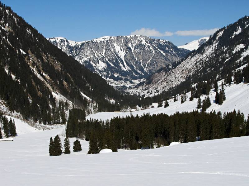 Blick Richtung Fildrich und Grimmialp