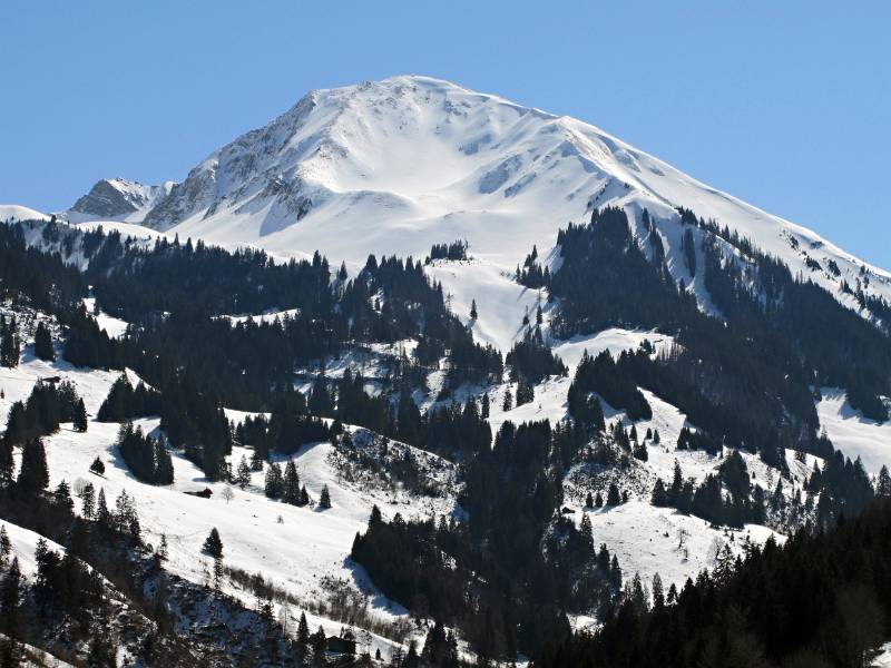 Hohniesen von Entschwil aus. Es könnte schöne Skitour sein