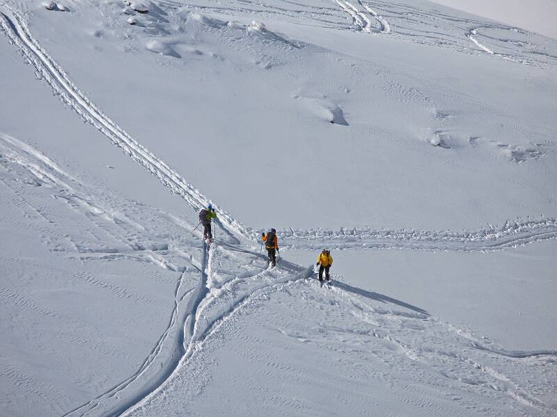 080321-24Bergell_1305
