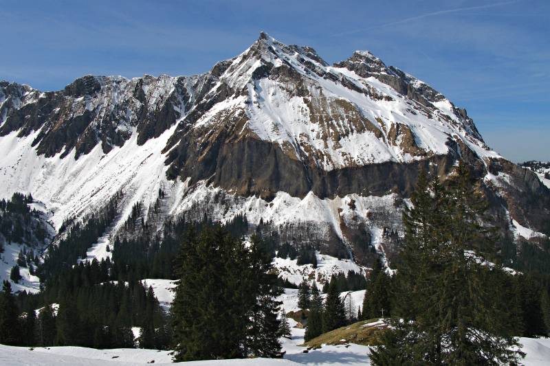 Fluebrig 2093m, der schönste Berg des Tages