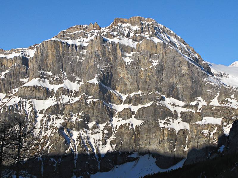 Image Skitour Lötschenpass - Daubenhorn - Kandersteg <br />